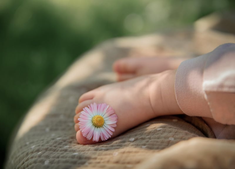 Gentle Tidings Image